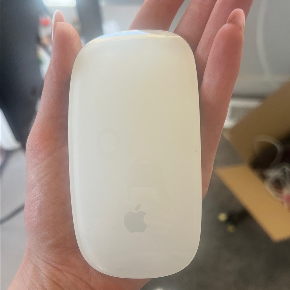 Apple White Magic Mouse